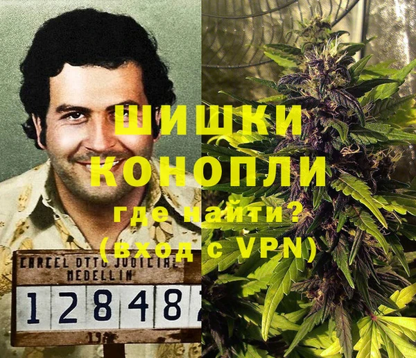 PSILOCYBIN Осташков